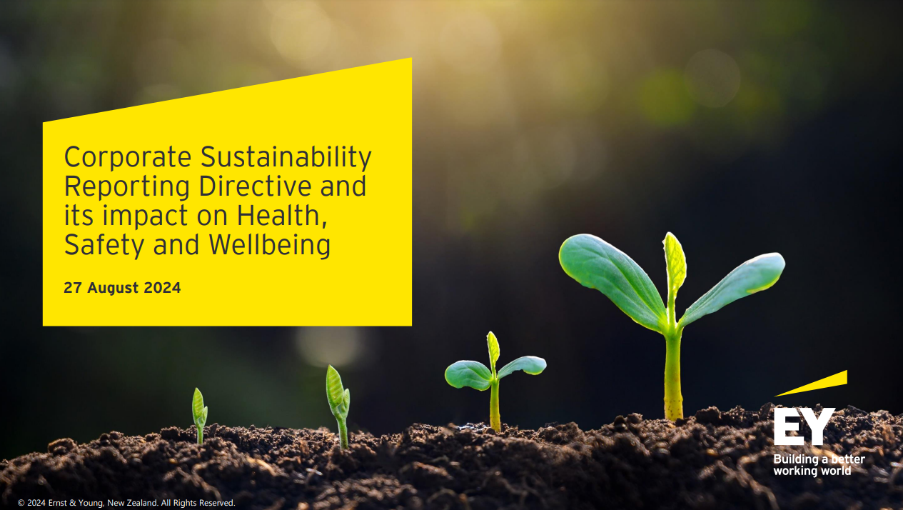 EY Corporate Sustainability Presentation 