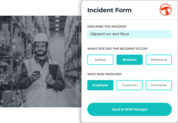 whs-software-incident-form-1